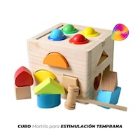 Cubo con Martillo Didáctico